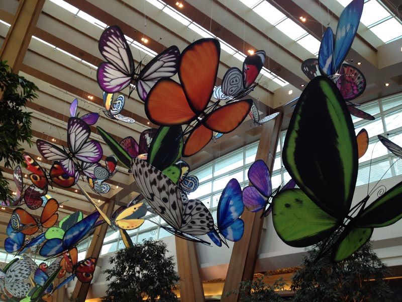 Butterflies