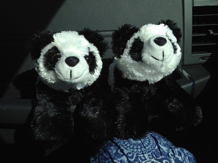 Pandas